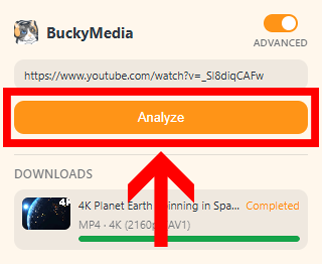 Extension panel with the analyze button highlighted