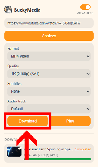Extension panel showing format, quality, subtitles and audio track options with the download button highlighted