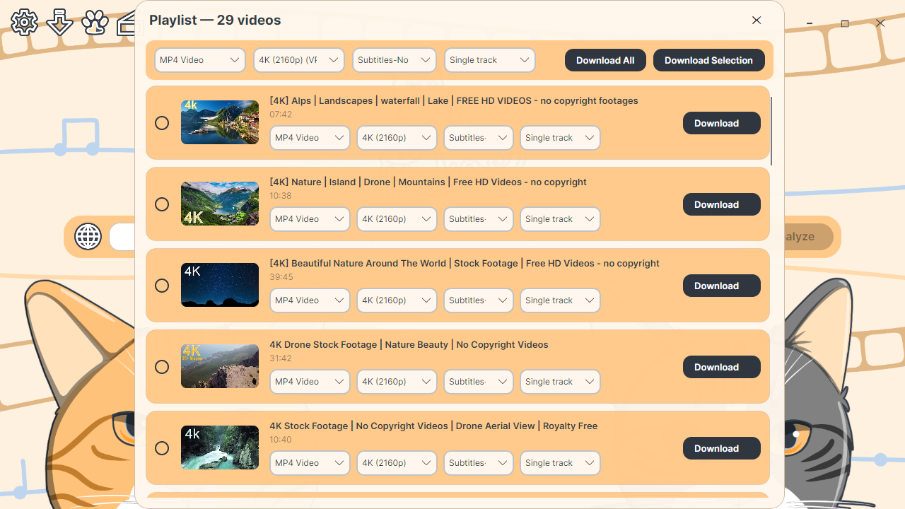 Full playlist view listing every video with its own format, quality and download button